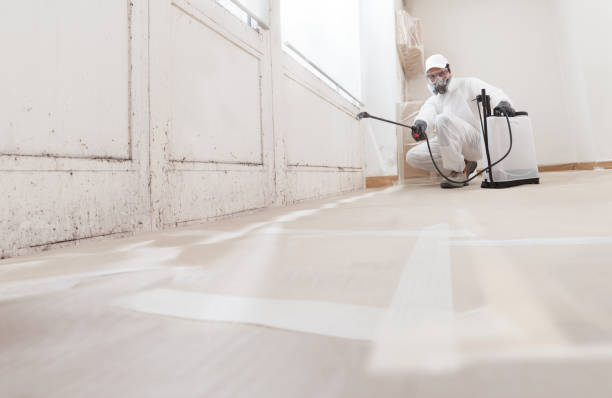 24/7 Emergency Mold Testing experts in Carr, CO