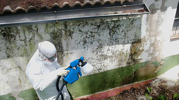 Trusted Mold Testing service in Carr, CO - Cheap Mold Removal